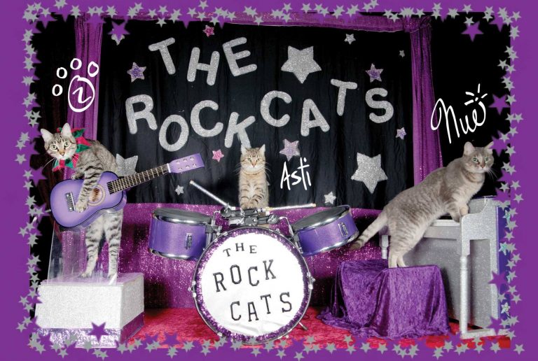 The Amazing Acro-cats Pounce on Portland!