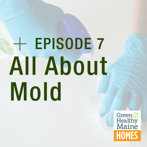Home + Energy Chats: All About Mold