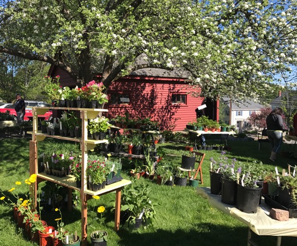 Tate House Museum Annual Plant Sale