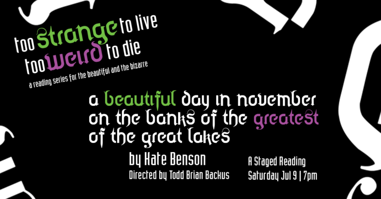 A Beautiful Day in November on the Banks of the Greatest of the Great Lakes by Kate Benson