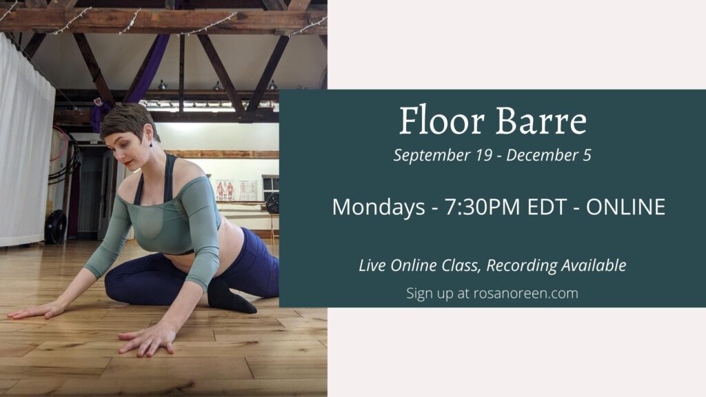 Floor Barre – Online with Rosa starts 9/19