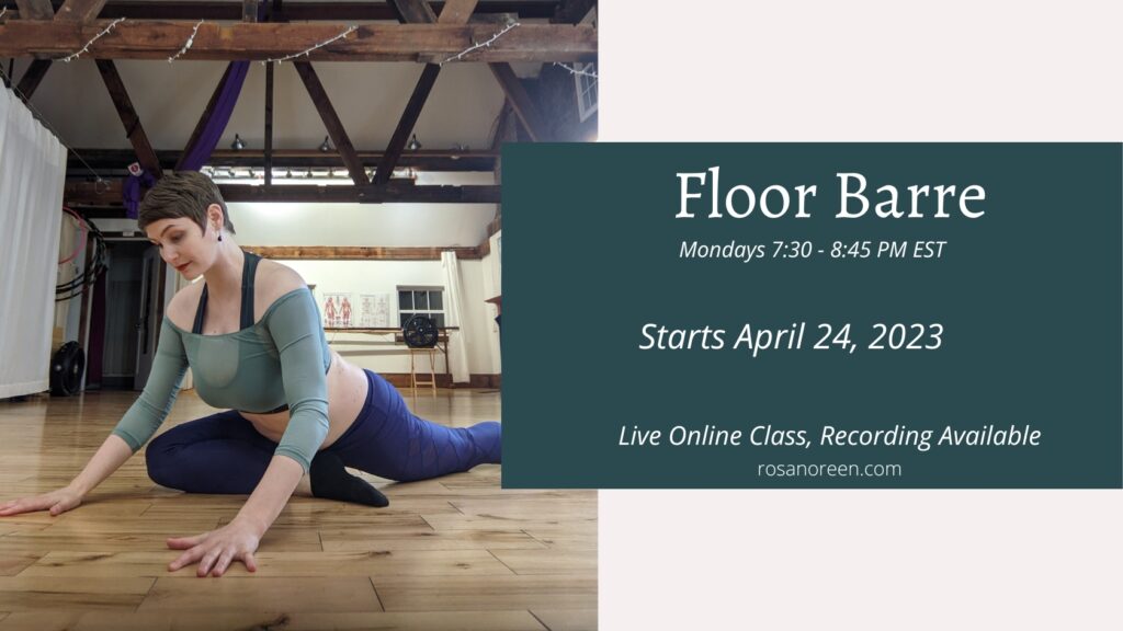 Floor Barre – Online Class with Rosa starts 4/24