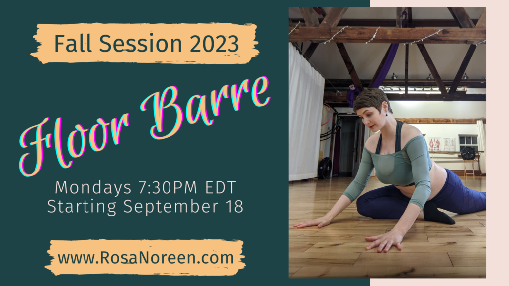Floor Barre Class with Rosa – In-Person/Online – Starts 9/18