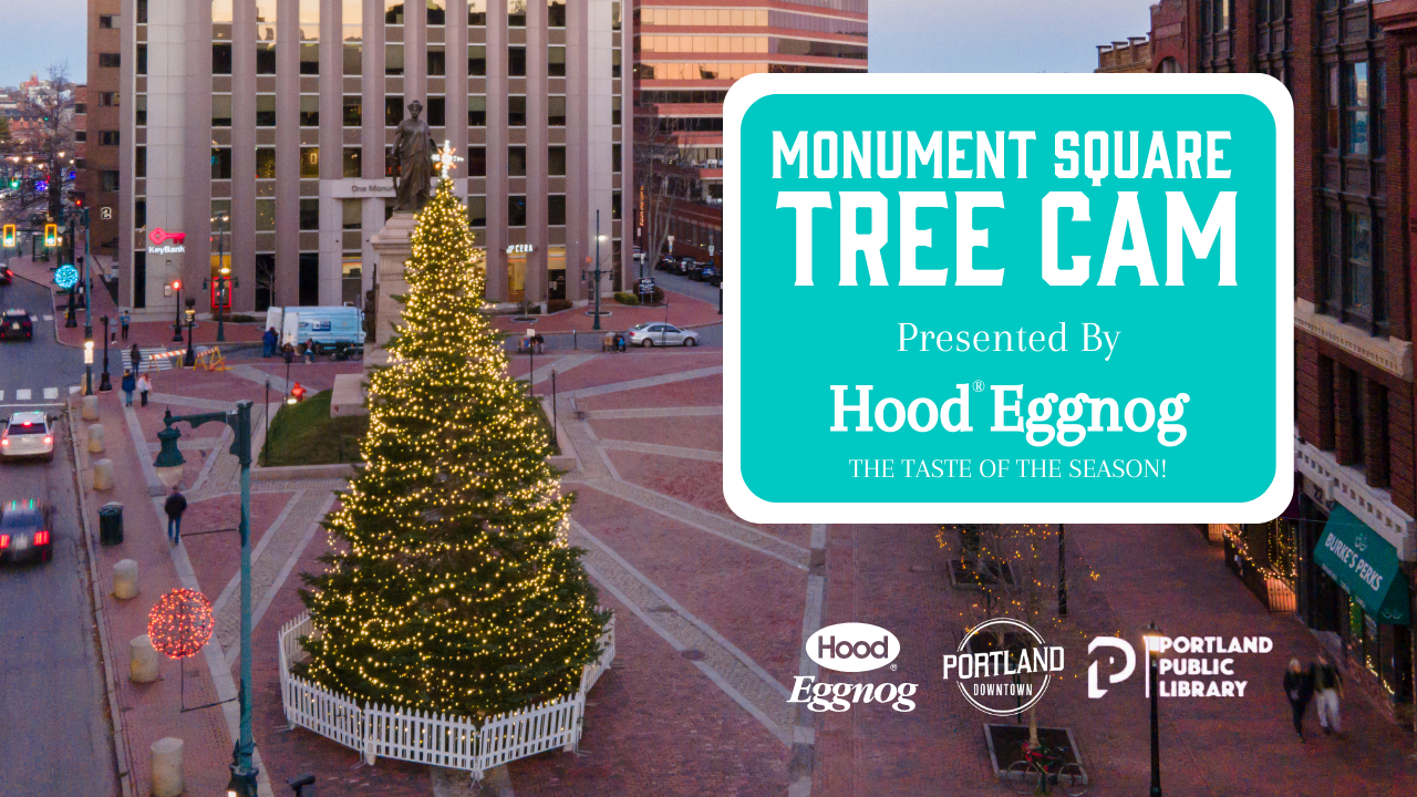 Monument Square Tree Cam presented by Hood Eggnog