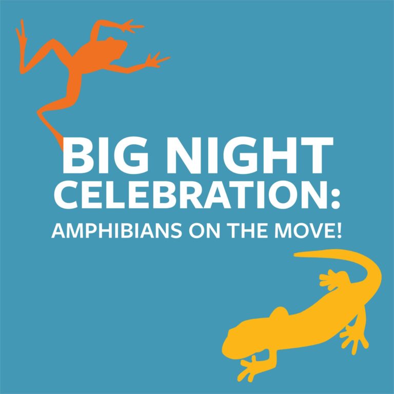 Big Night Celebration at CMTM