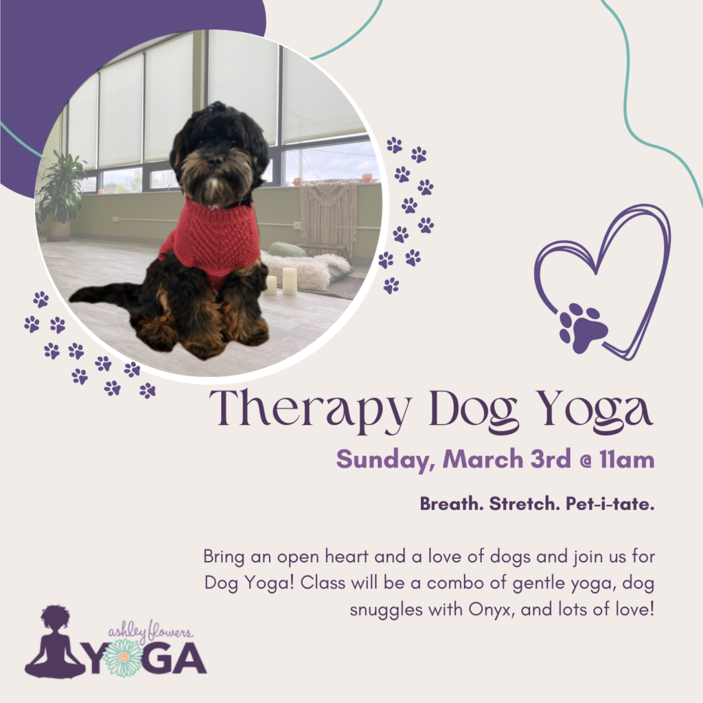 Therapy Dog Yoga